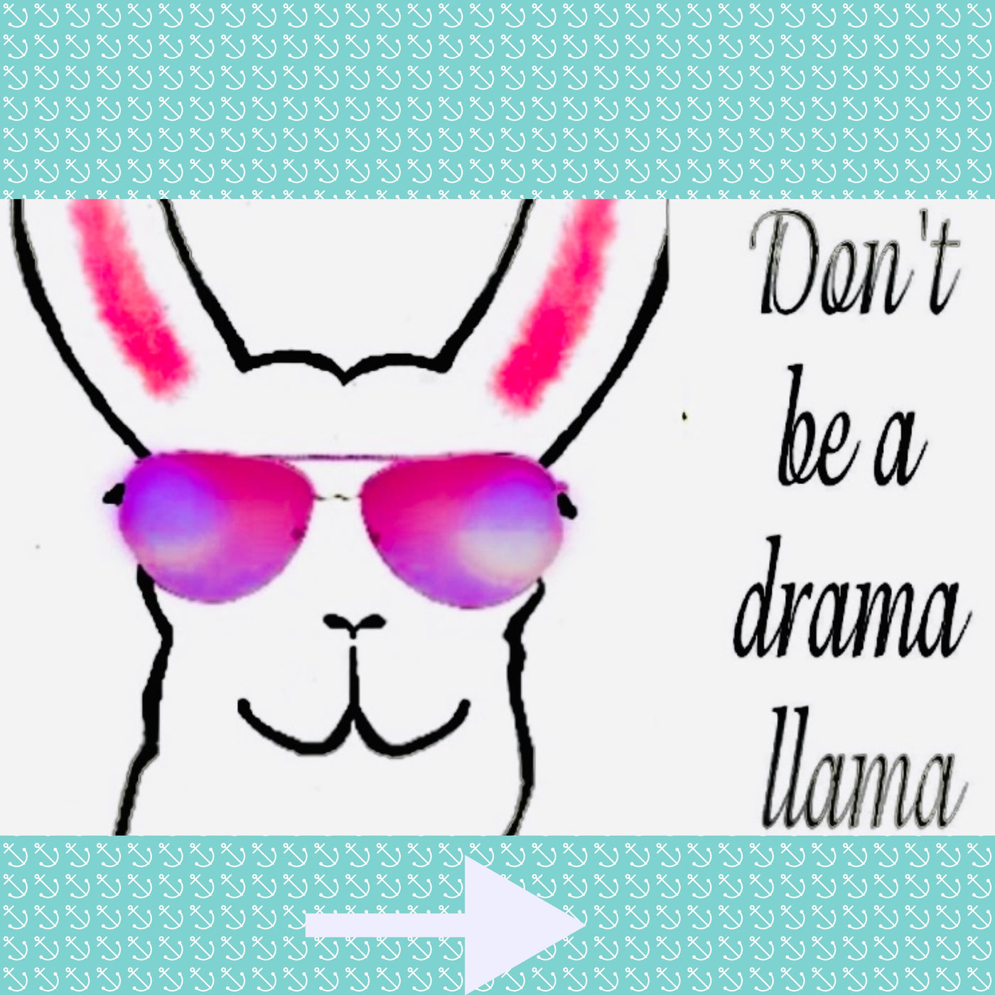 DON'T BE A DRAMA LLAMA~ADULTS ONLY