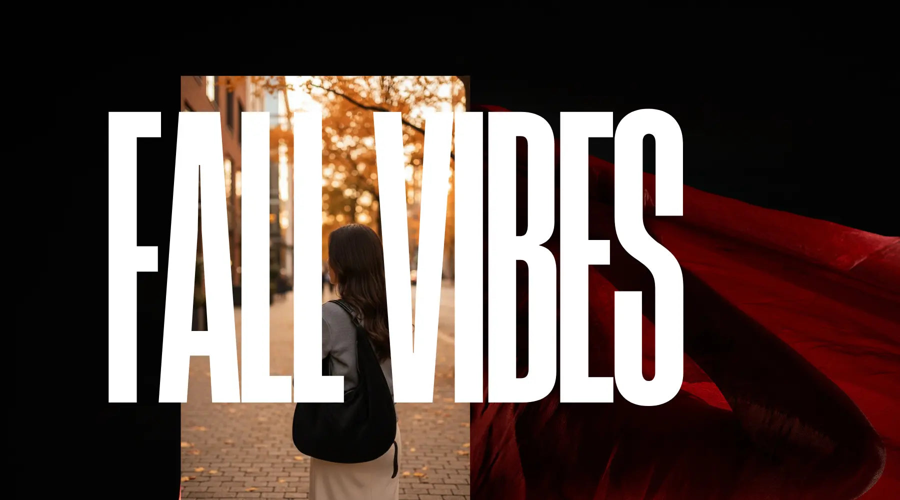 Person walking in a park with autumn leaves, text 'FALL VIBES' overlayed.